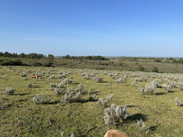 Commercial Property for Sale in Mossel Bay Rural Western Cape